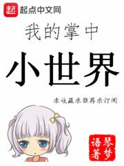 我的掌中小世界 起点