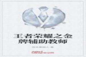 王者荣耀之金牌辅助教师